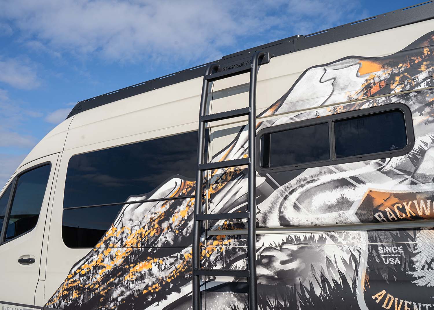 Mercedes Sprinter Chicane Side Ladder