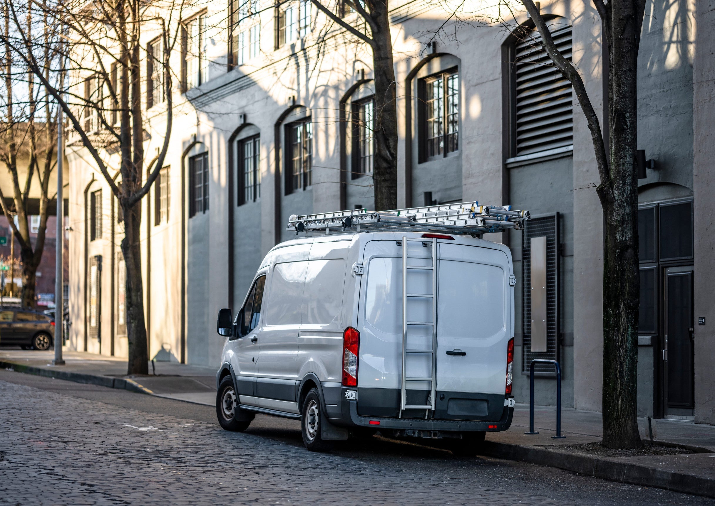 Sprinter van with ladder on the back and one mounted on the top roof rack